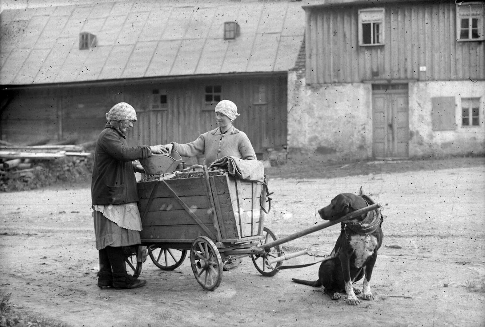 Händlerin mit Hundegespann (Steinbach um 1920) Fotograf: Hermann Krauße, Deutsche Fotothek