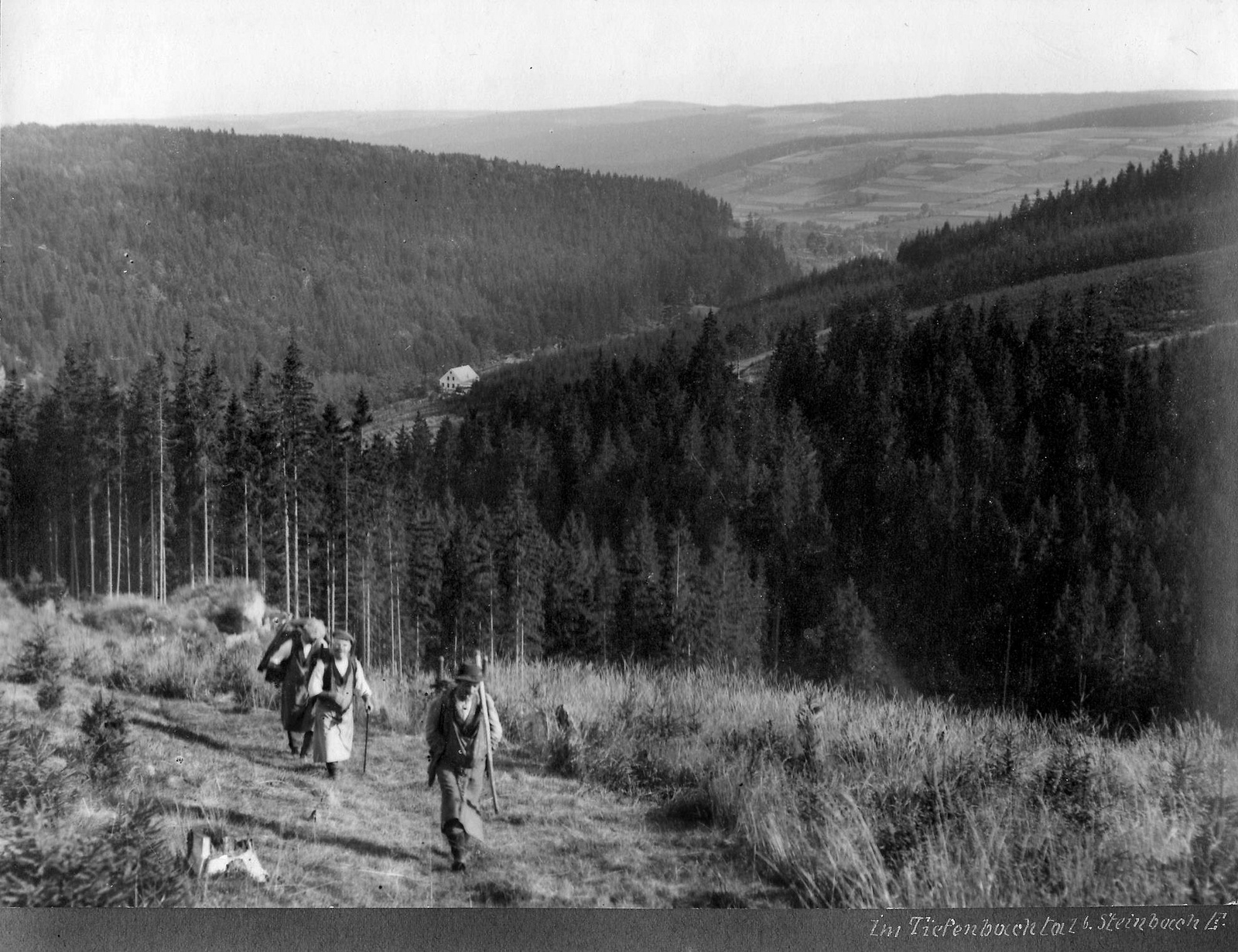 Waldarbeiter im Tiefenbachtal (Steinbach um 1920) Fotograf: Hermann Krauße, Deutsche Fotothek