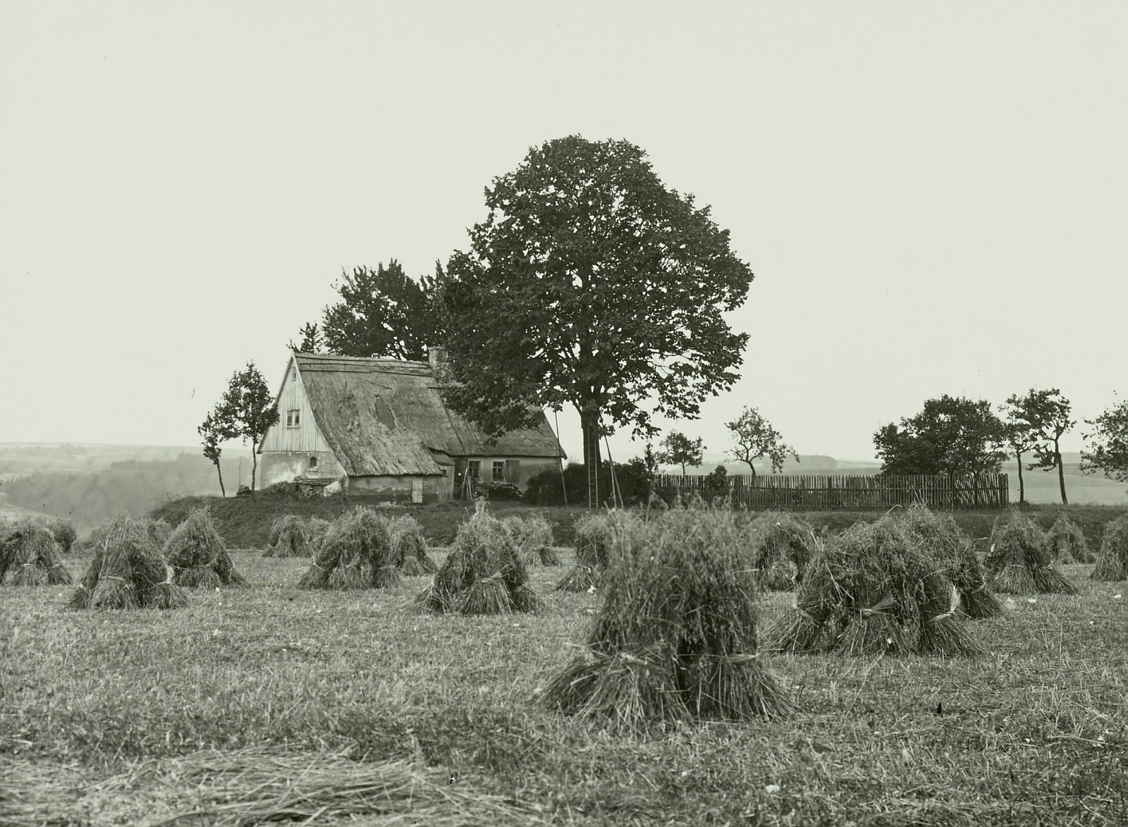 Zeche Neuer Segen Gottes, Huthaus in der Feldflur (Kirchbach um 1907) Fotograf: Paul Schulz, Deutsche Fotothek