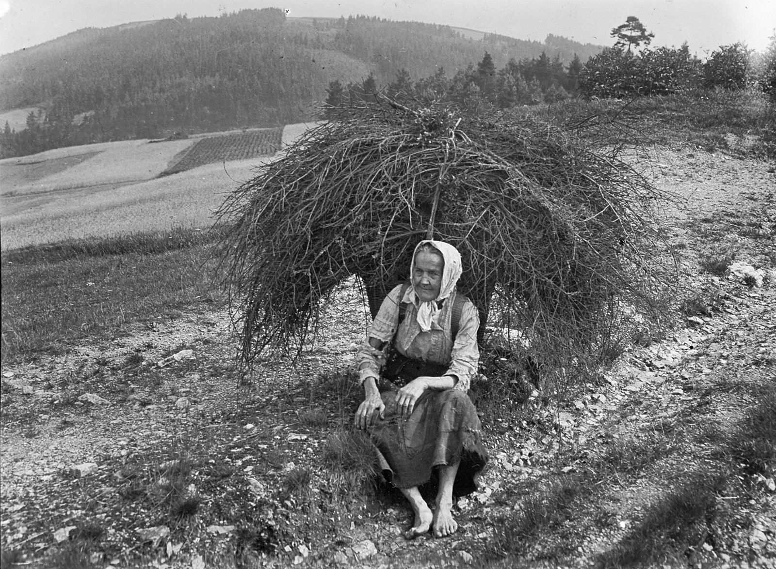 Reisigsammlerin (um-1920) Fotograf: unbekannt, Deutsche Fotothek